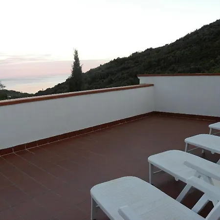 Dell'amicizia Seccheto