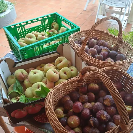 Dell'amicizia Ξενοδοχείο
