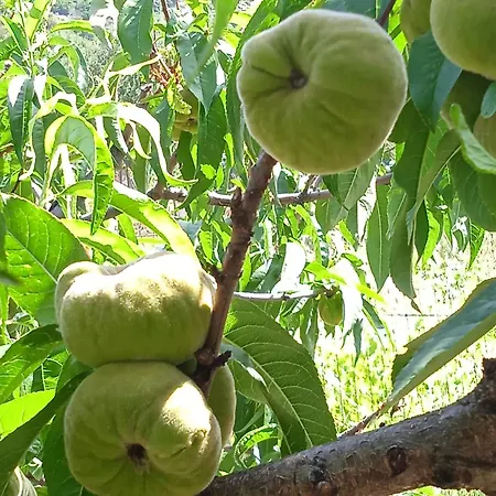 Dell'amicizia Ξενοδοχείο 2*