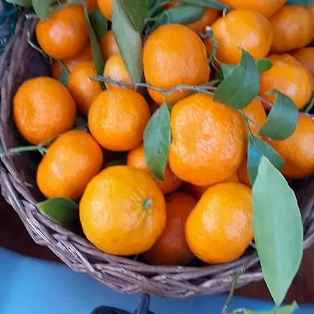 Hotel Dell'amicizia 2*