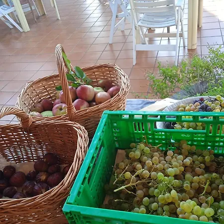 Dell'amicizia Ξενοδοχείο 2*