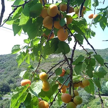 Dell'amicizia Seccheto