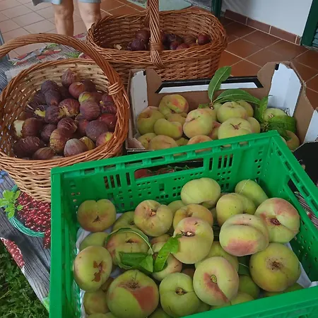 Dell'amicizia Ξενοδοχείο