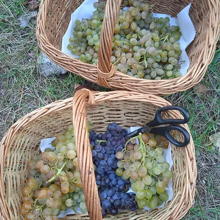 Dell'amicizia Szálloda 2*