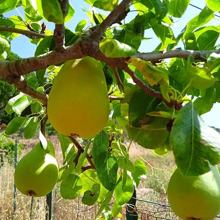 Dell'amicizia