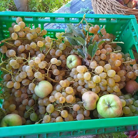 Dell'amicizia Ξενοδοχείο 2*