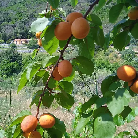 Dell'amicizia