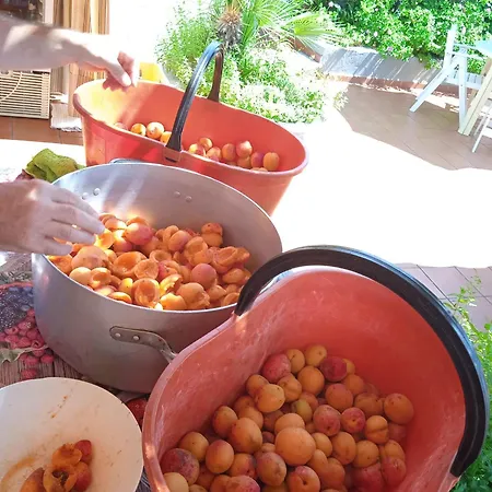 Dell'amicizia Ξενοδοχείο 2*
