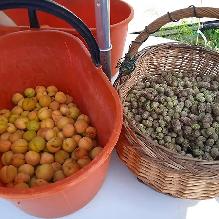 Dell'amicizia Ξενοδοχείο