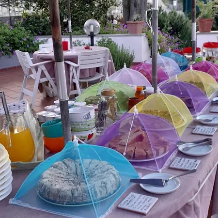 Dell'amicizia Seccheto