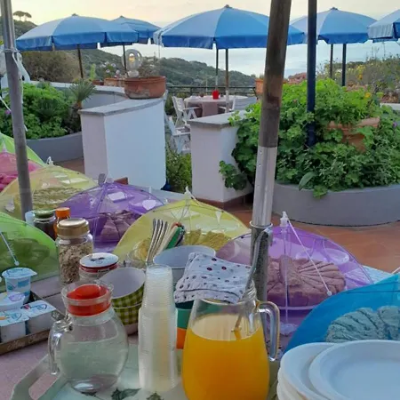 Dell'amicizia 2* Seccheto