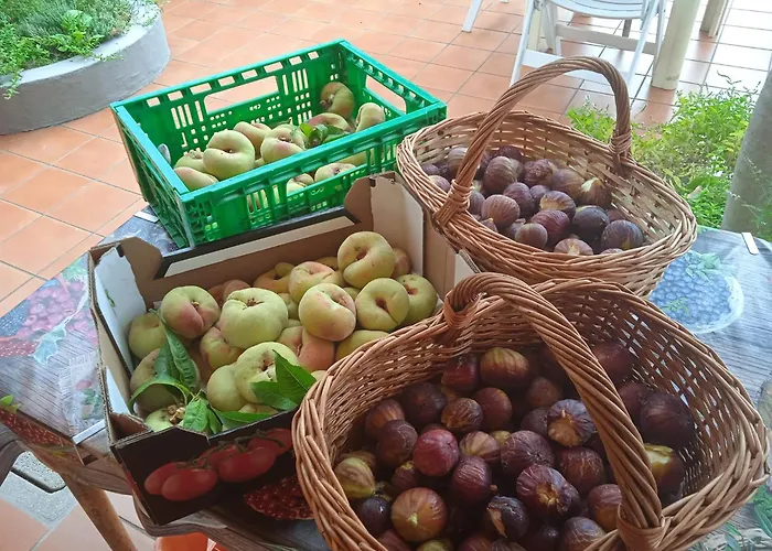 Dell'amicizia Hotell