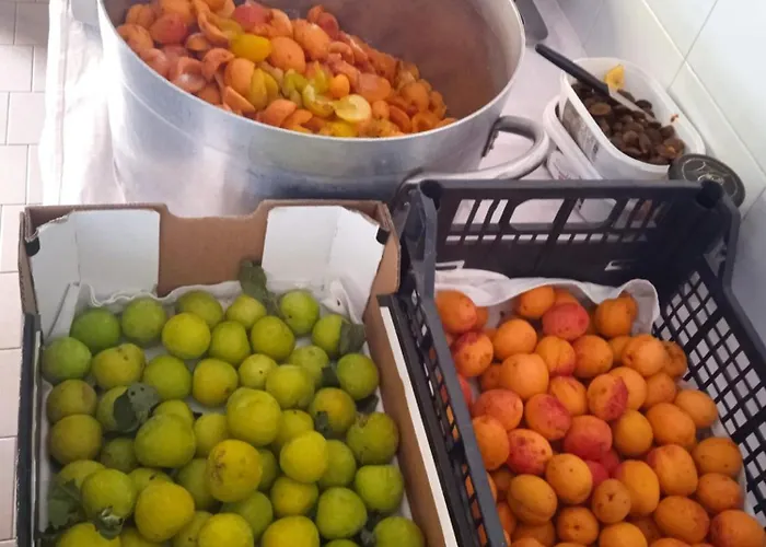 Hotell Dell'amicizia