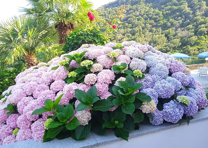 Dell'amicizia Hotell