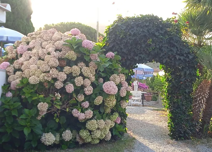 Dell'amicizia Hotell 2*