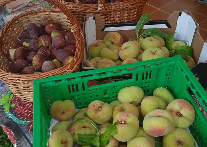 Dell'amicizia Hotell