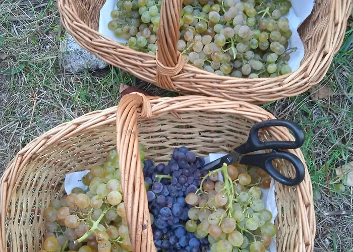 Dell'amicizia Hotell 2*