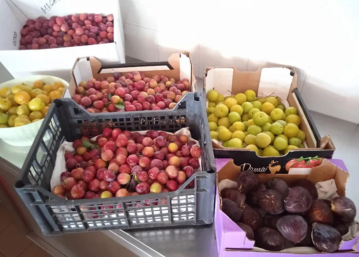 Dell'amicizia Hotel Seccheto